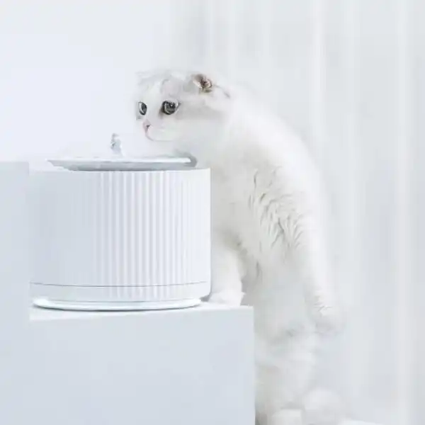 xiaomi pet fountain
