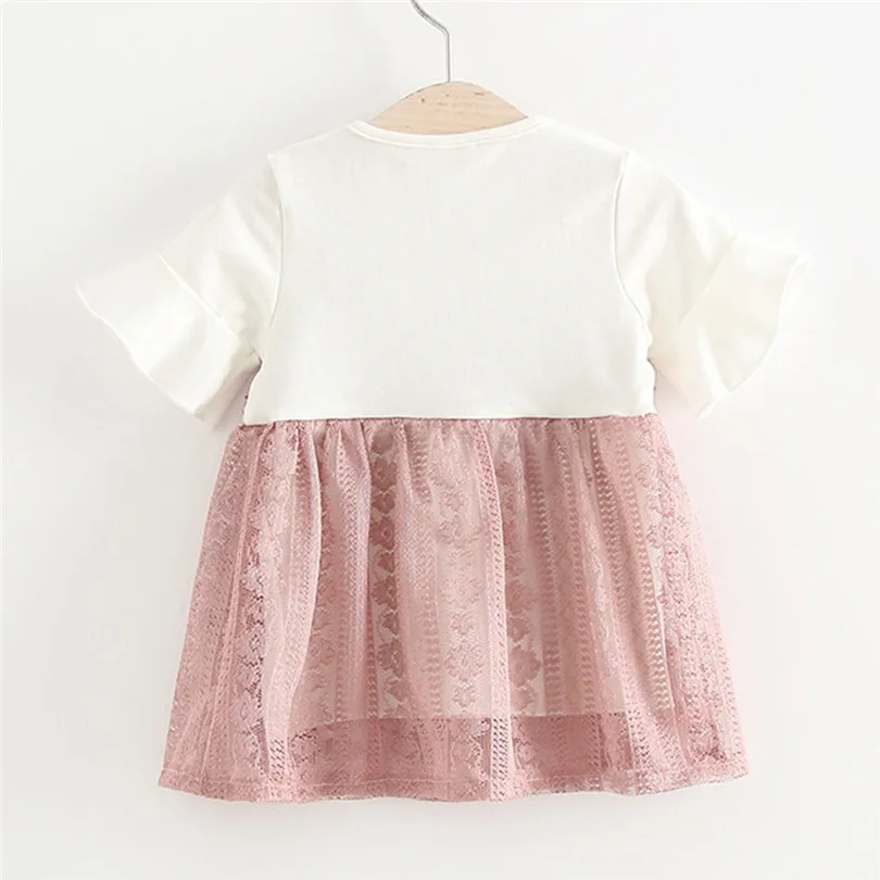 2019 New cute Toddler Kids Baby Girl Lace Flower Princess Tulle Dress Clothes Outfits baby show gifts (2)