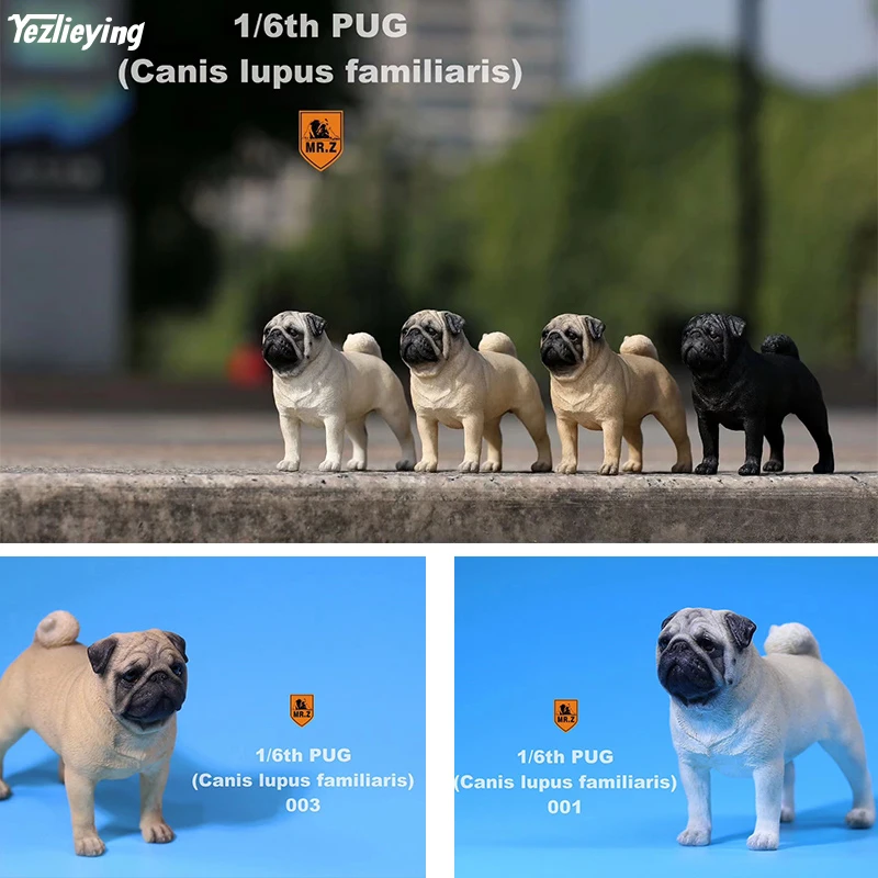 Pug Dog M.Z Simulation Animal Series 1//6th Pets Resin Canis lupus familiaris