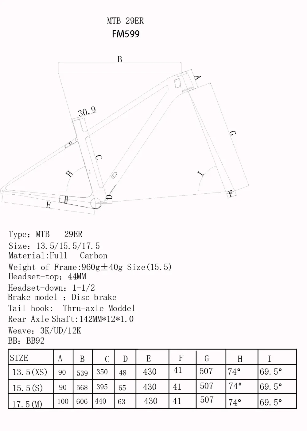 FM599 geometry