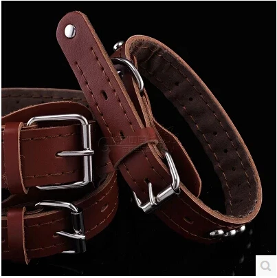 Coach dog collar xl Clearance