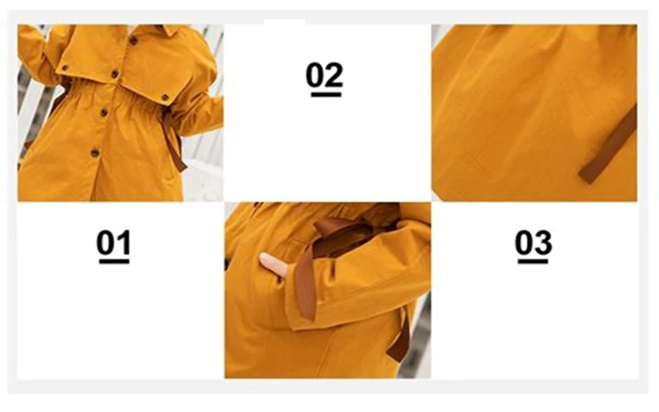 微信图片_20190623152538a