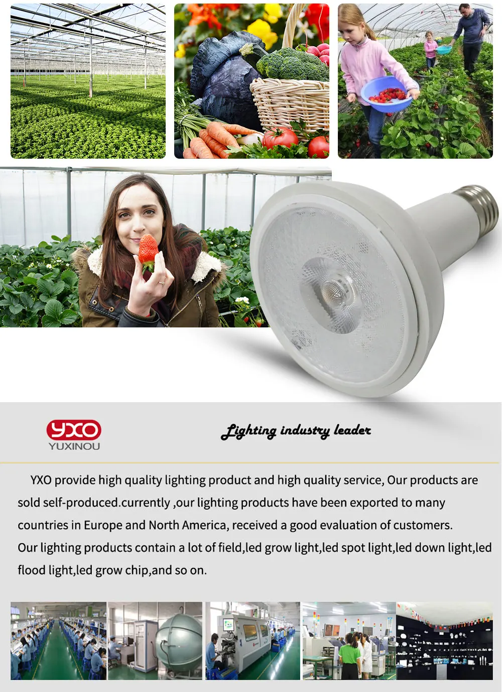 1 шт. полный спектр удара светодио дный светать CREE CXA1512 20 Вт растет лампы комнатное растение роста Панель освещения завод овощей и цвету