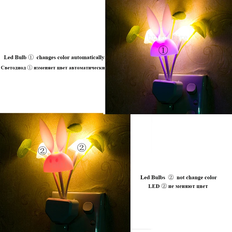 2298343936_2053175510