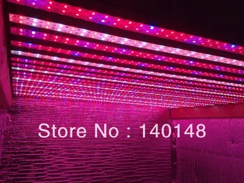 

Popular indoor hydroponic lights 28.8w smd 5050 rigid led strips plant growth lights 660nm 460nm