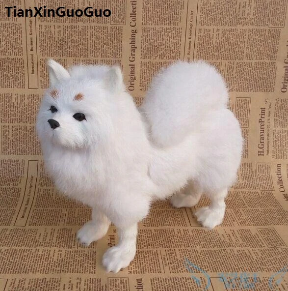 off white pomeranian