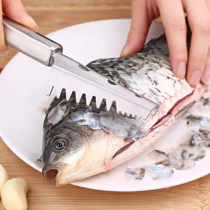 

Practical Fish Scale Scraper Planer Remover Fishing Knife Scaler Kitchen Seafood Tool Scraping Fish Cleaning Tool