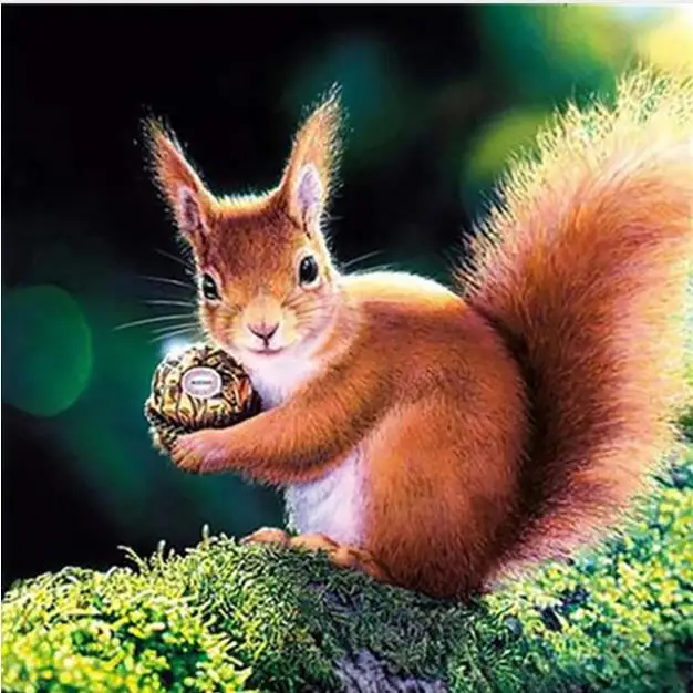 Full DIY Diamond Painting kit A squirrel loves nuts Cross Stitch Embroidery Patterns rhinestones Mosaic home decor | Дом и сад