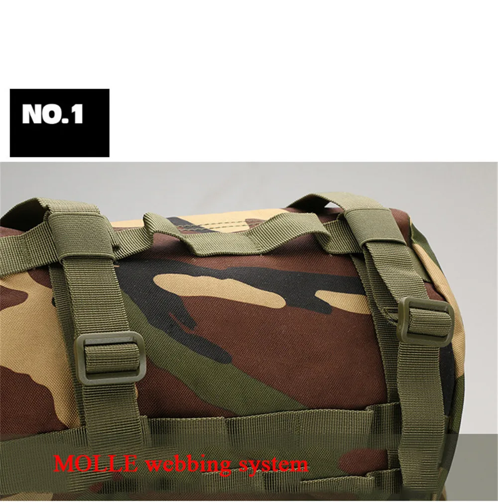 A21 (31)