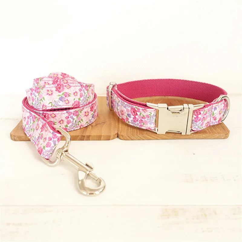 4850271939_1177041308