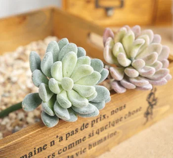  6 pcs lot The simulation of Succulents plants jewel artificial plants for docoration plants artificial