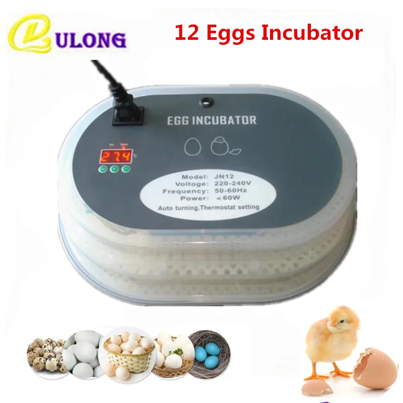 

Hot Sale mini poultry incubator machine home use small auto hatcher equipment tool with temperature control chinese hatching