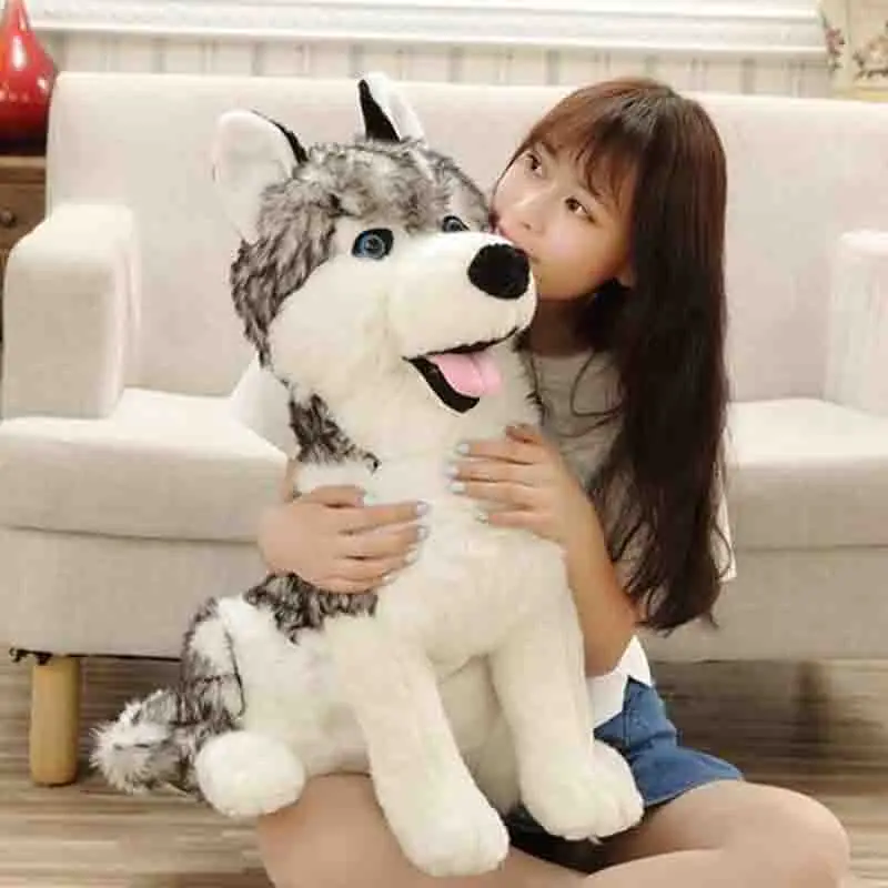 husky peluche