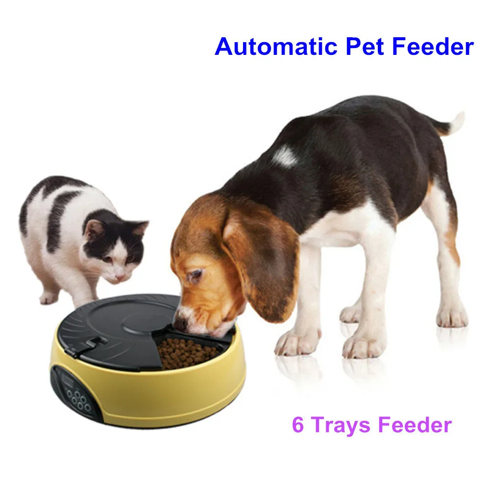 

automatic pet feeders are regularly and quantitatively fed programmable feeders