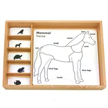 Montessori Language Materials 3 Parts Card Animal Growth Cards Learning Educational Wooden Toys Juguetes Montessori E2864H