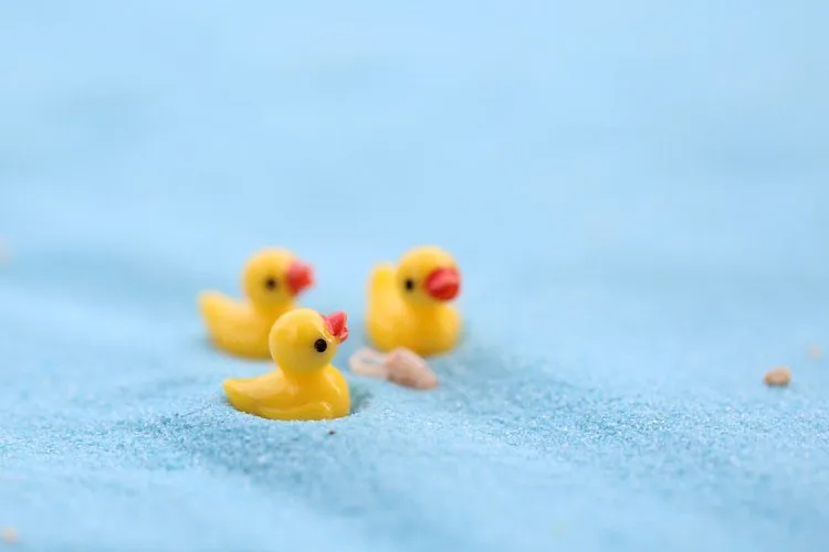 1593430961_1198909629