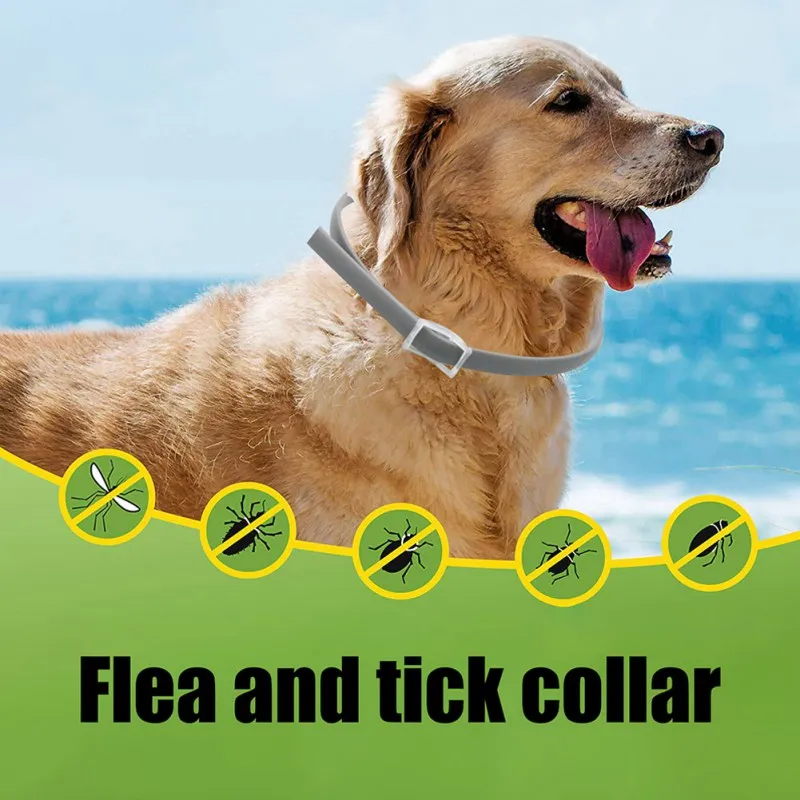 

Flea Collar For Pets 90 Days Flea And Tick Prevention Treatment Mosquito Repellent Everything For Animals Pet