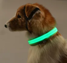LED dog collar teddy leash harness cute pet collars Small dogs night safety flashing luminous glow
