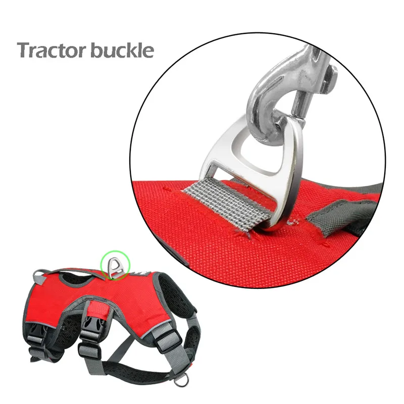 HTB1repKKeuSBuNjSsplq6ze8pXav