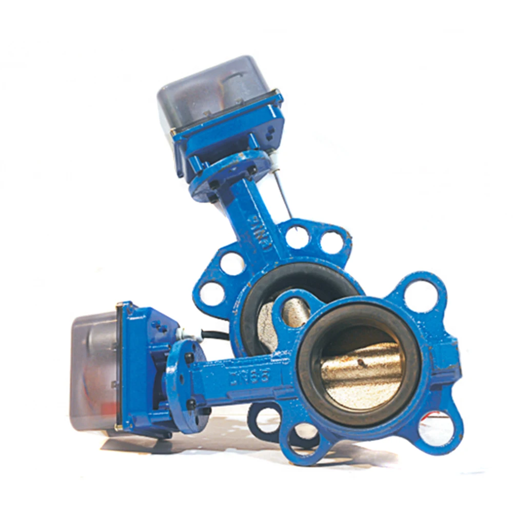 DN40 DN50 DN65 Electric butterfly valve