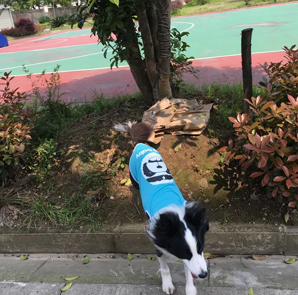 Y71_New_3XL_9XL_Plus_Size_Spring_Summer_Pet_Large_Dog_Vest_Clothes_Bear_T_Shirts_for_Big_Dog_Costume_Apparel_Sportswear_ (5)