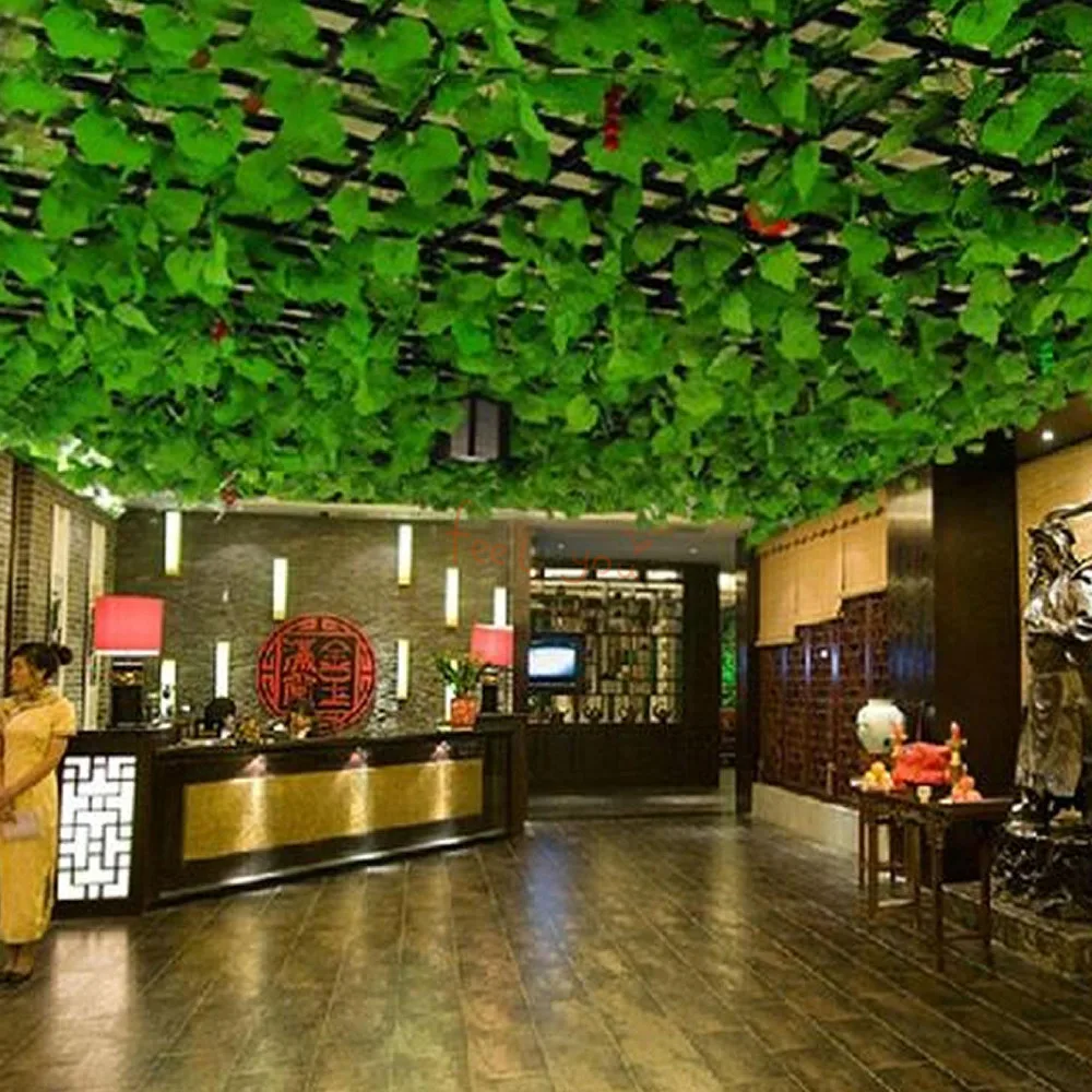 Улица пушкина симферополь. Плющ симферополь. Плющ толстолистный. Плющ кудрявый вариегатный. Плющ симферополь клуб.