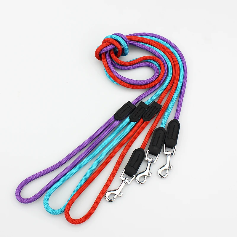 dog leash 6