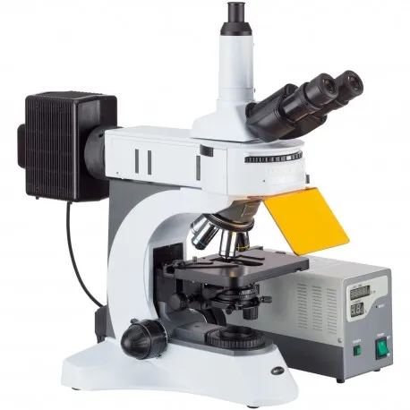 fluorescence-microscope-FM820T