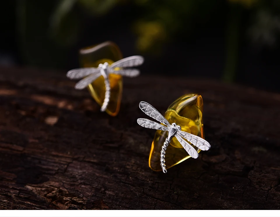 Cute-Dragonfly-LFJA0052_09
