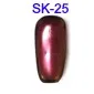 SK-25