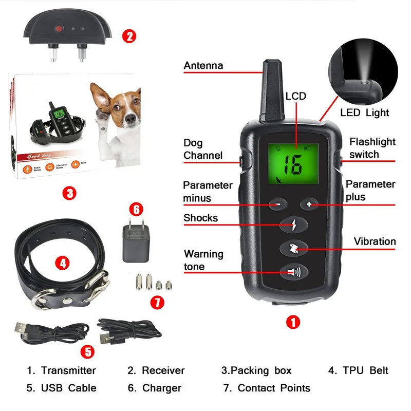 dog shock