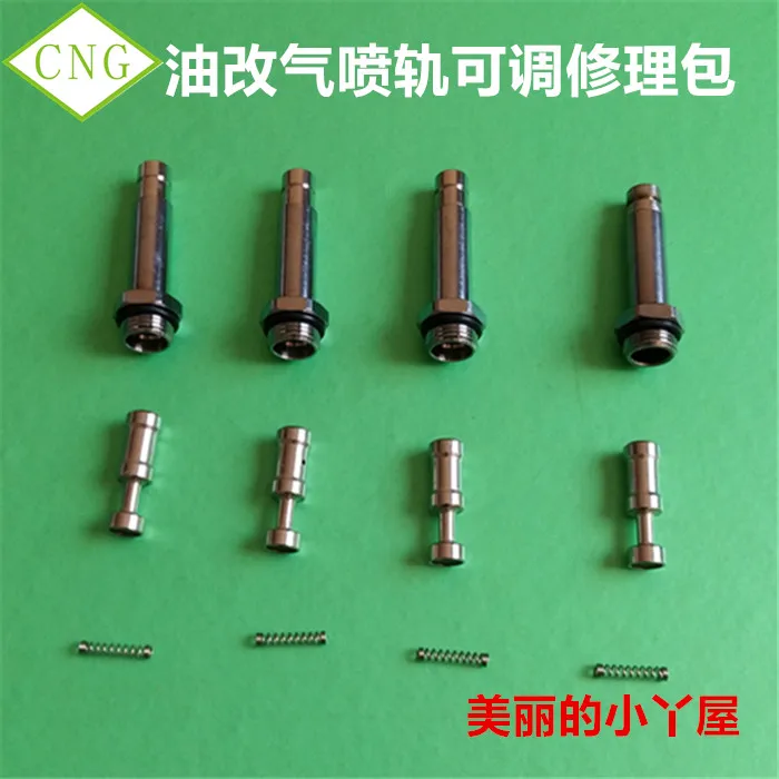 

CNG accessories Injector rail Valve barrel Valve core spring