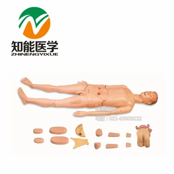 

BIX-H130A Medical Science Teaching Model Full Function Care Manikin G095
