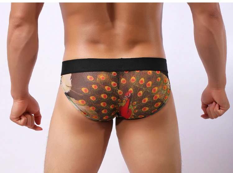 

New arrive Men's delight mesh body sculpting briefs low waist sexy underwear men panties