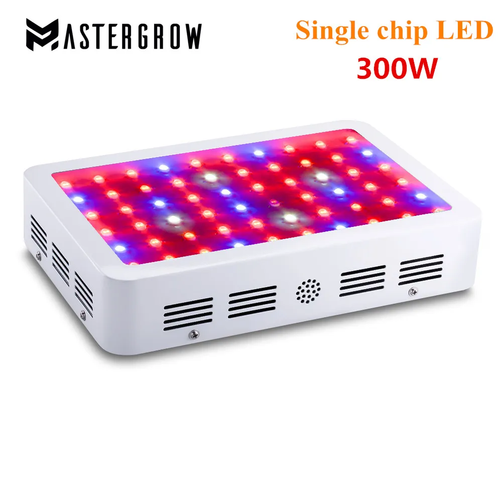 300W