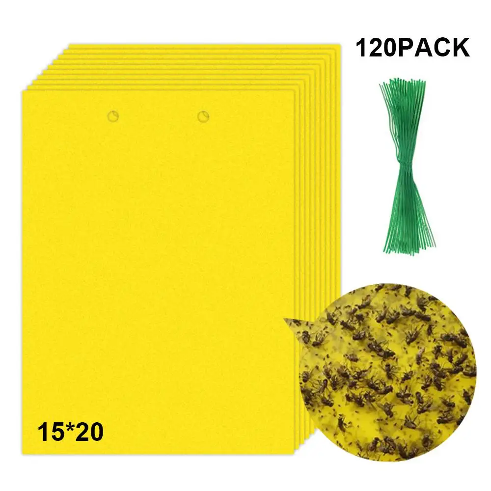 

Strong Flies Traps Bugs Sticky Board Catching Aphid Insects Pest Killer Outdoor Fly Trap for Aphids Flies