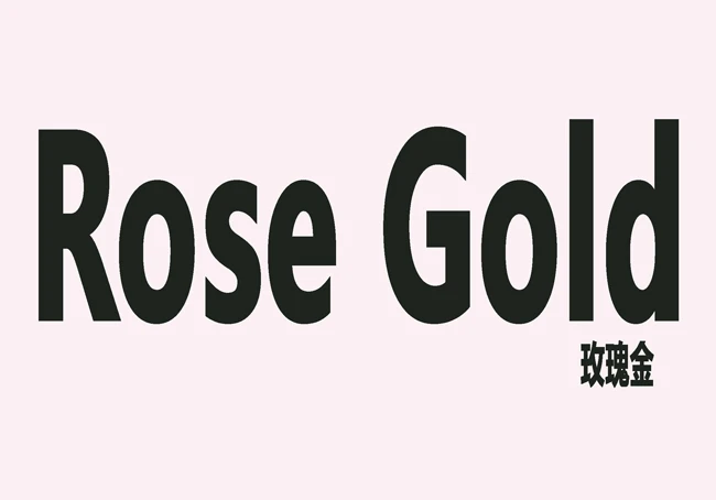 Лидер продаж 100 шт 24X34 мм Любовь Высокое качество цинковый сплав Карабин шарнирные зажимы для брелок для ключей и брелок "розовое золото" - Цвет: Rose Gold Plated