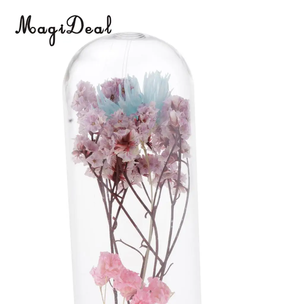 Clear Glass Display Cloche Bell Jar Dried Immortal Flower Preservation Vase Wooden Base Cafe Bar Countertop Decor Ornament