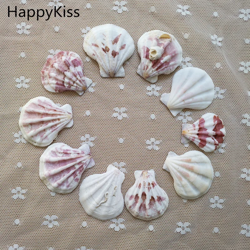 

frrshipping 10PCS Mediterranean Style Beautiful Beach SeaShells Mix Sea Natural Shells Shell Crafts for Aquarium Fish Tank Decor
