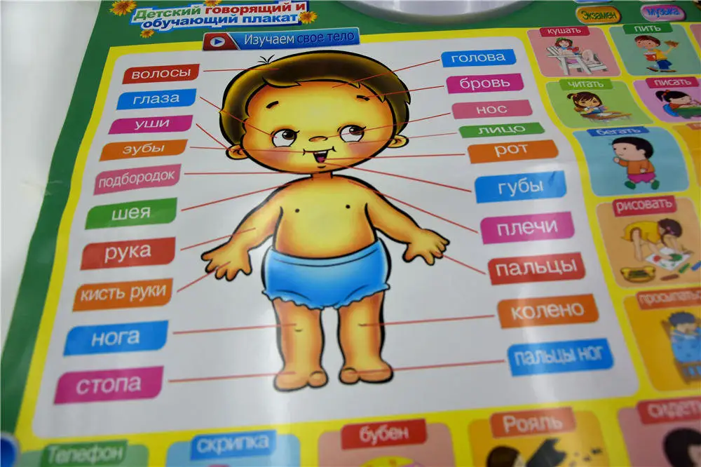 Newest Russian People Phonetic Chart Russia Baby Language Learning Machine Kids Educational Toy Phonic Wall Hanging poster