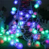 10m 50 RGB Edelweiss LED guirnaldas de Luces de Navidad al aire libre para fiesta decoración para dormitorio de boda Luces Led Decoración ► Foto 2/6