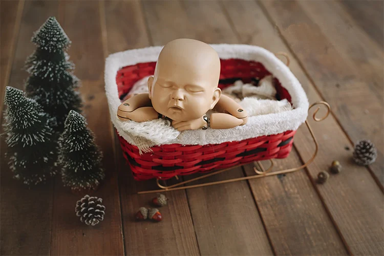 newborn baby photography basket props