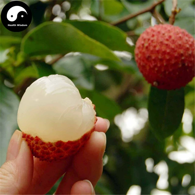 Buy Litchi Fruit Tree Semente 30pcs Plant Litchi Chinensis For Lychee