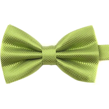 

Verwong NEW Style Men's Plain Polyester Pre Tied Wedding Bow Tie (green)