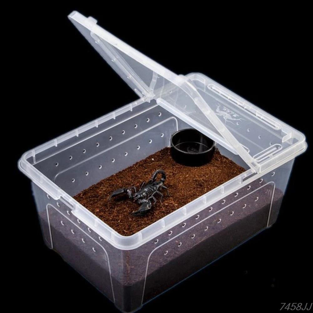 Terrarium for reptiles Transparent Plastic Box Insect Transport Live Food Feeding Box DropShip - AliExpress Home & Garden