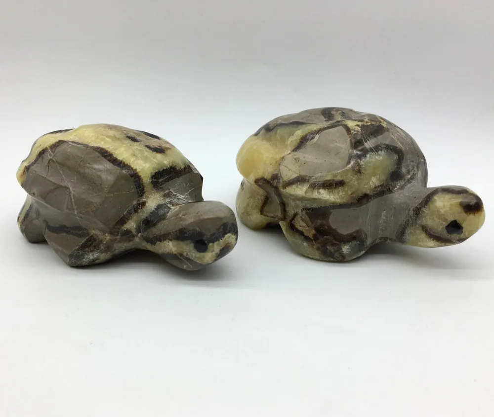 

Natural septarian dragon Crystal tortoise stone Carving Healing Madagascar