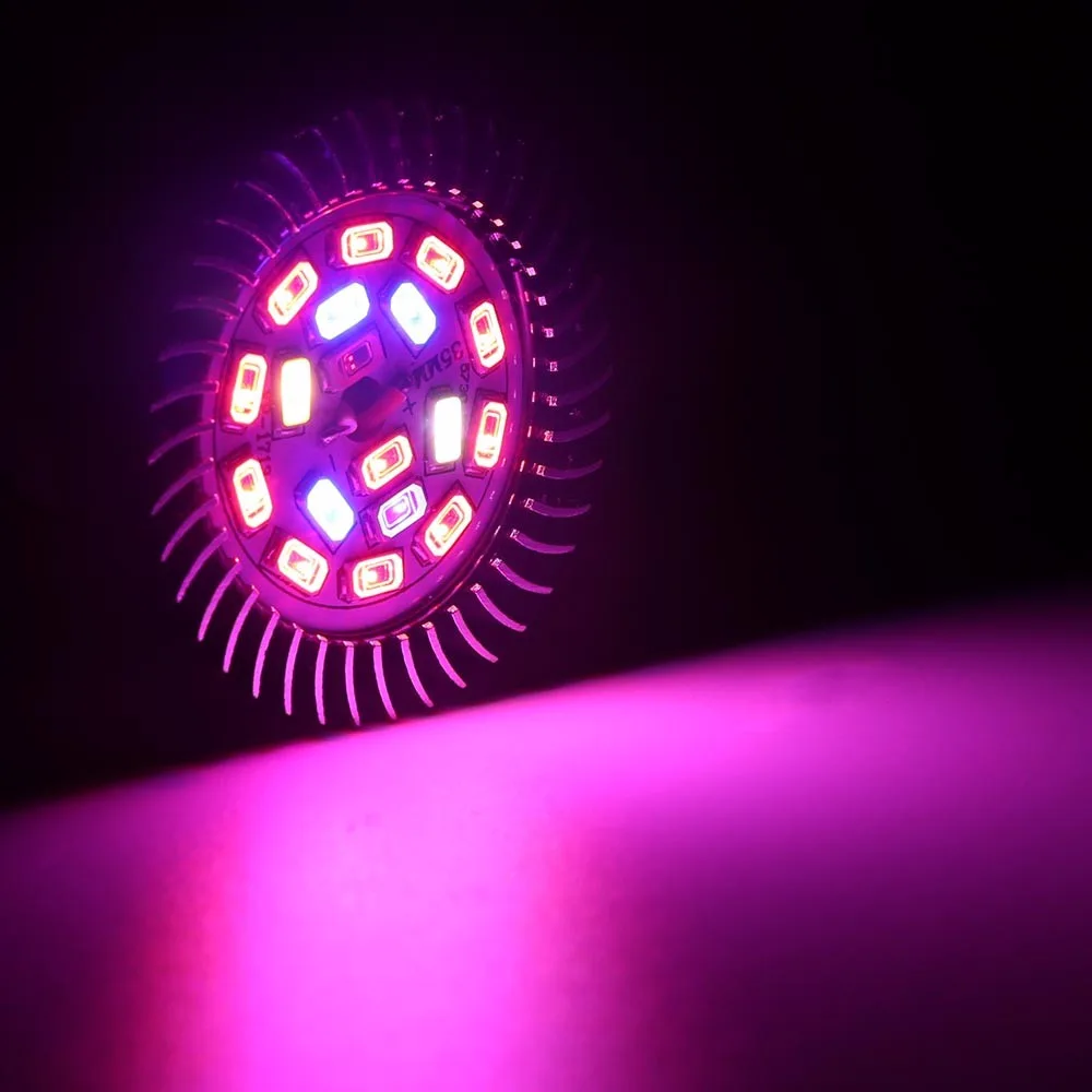 8199958772_2124912741