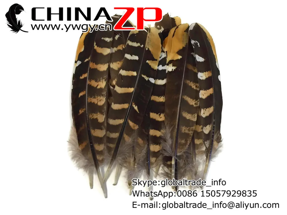 Китайский поставщик 100 шт./лот|pheasant wing feathers|wings featherspheasant feather |