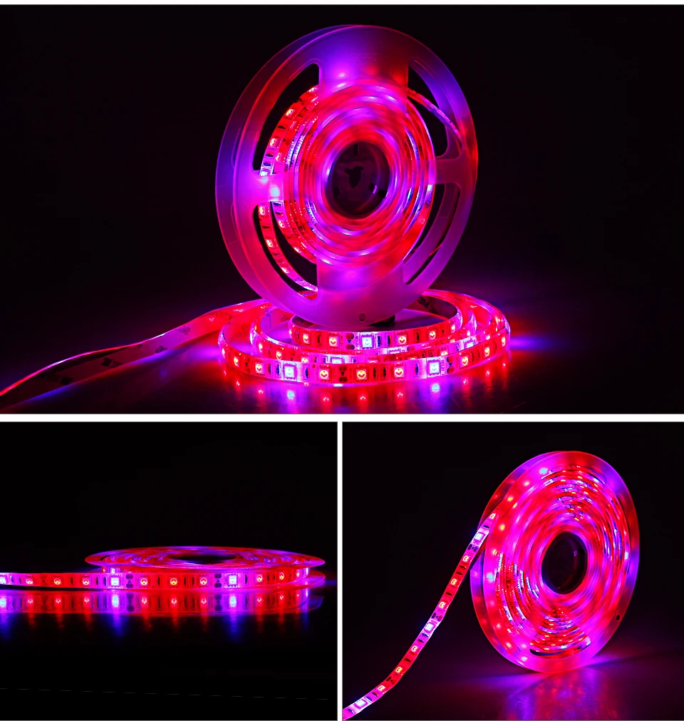 led grow light (11)
