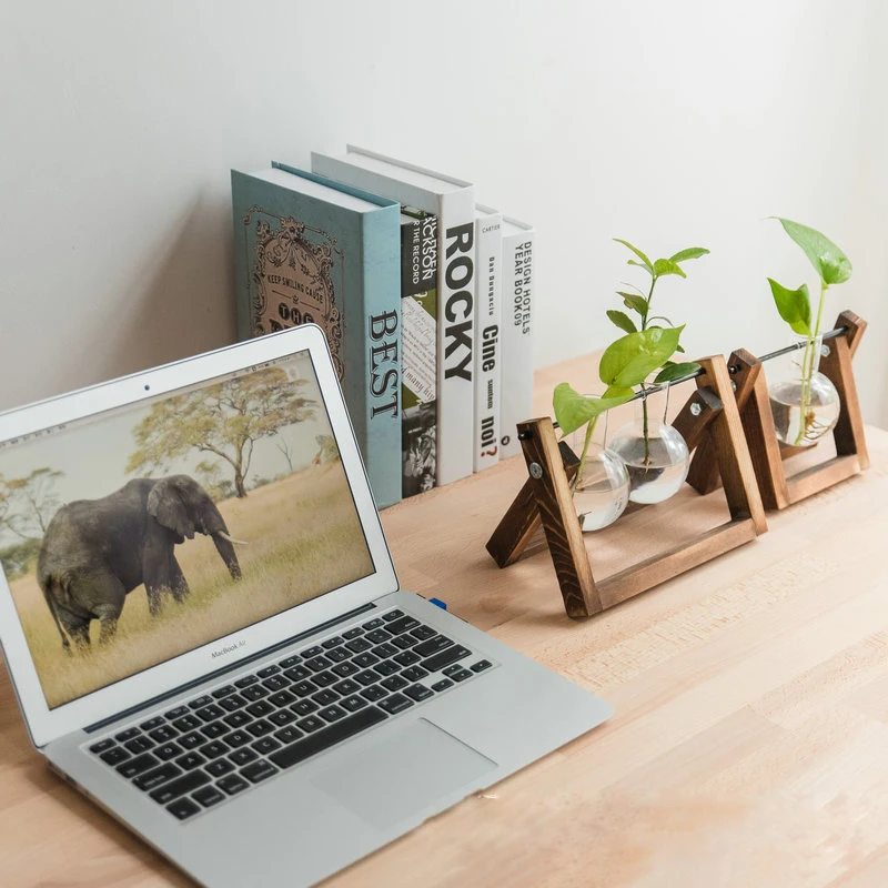 Glass and Wood Vase Hanging Flower Pots Planter Terrarium Table Desktop Hydroponics Plant Bonsai Pot Wooden Tray Dropshipping